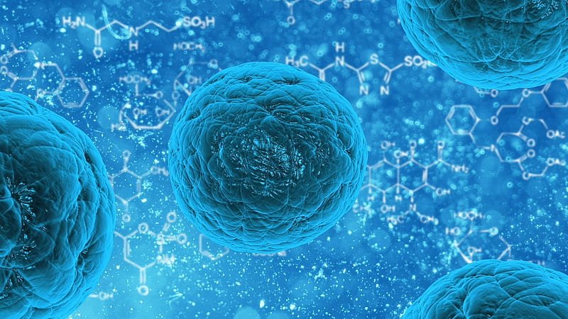 Immunology